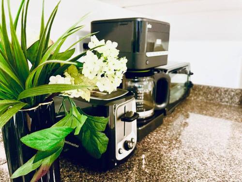 a coffee maker with flowers on a counter at Charming 1BR near Metrotown DT Burnaby/ Vancouver in Vancouver
