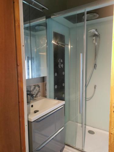 une salle de bain avec douche et lavabo dans l'établissement Au bon endroit -- Chambre chez l'habitant -- Via Rhona, à Jonzier-Épagny