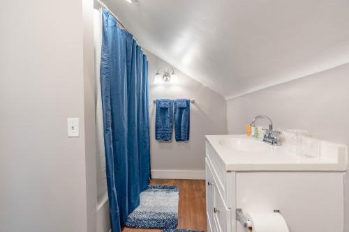 een badkamer met een wastafel en een blauw douchegordijn bij Apartments in the Heart of Canton in Canton