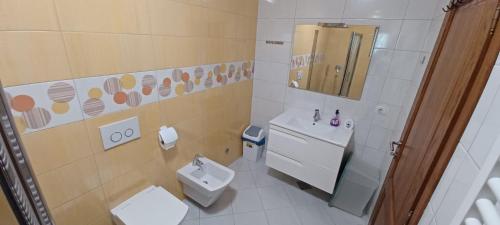 a bathroom with a toilet and a sink and a mirror at Vile Park Apartments Pula in Pula