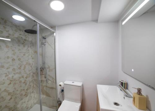 El Merendero في Ateca: حمام مع دش ومرحاض ومغسلة