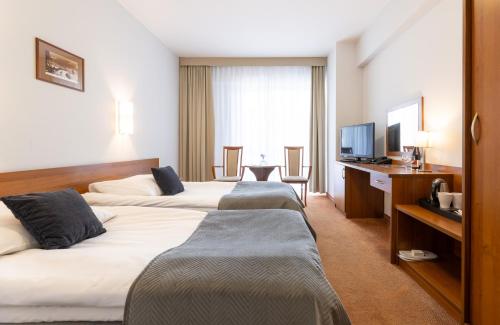 pokój hotelowy z 2 łóżkami i telewizorem w obiekcie Hotel Krynica Conference & SPA w mieście Krynica Zdrój