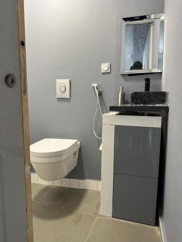 ein Badezimmer mit einem WC, einem Waschbecken und einem Spiegel in der Unterkunft Maison au calme in Le Fief-Sauvin