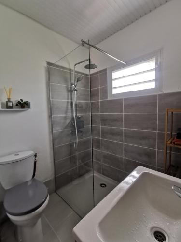 a bathroom with a shower and a toilet and a sink at Résidence La Cafeiere in Saint-Claude