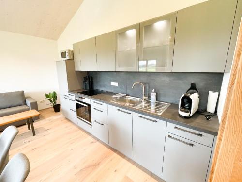 Dapur atau dapur kecil di BodenSEE Apartment Allgäu Alpenblick