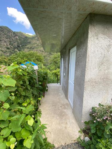 a door to a building with a bunch of plants at Tereza glamping in Sanain
