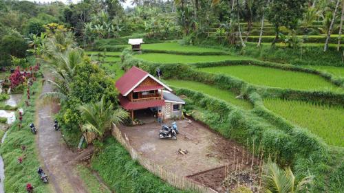 an aerial view of a small house in a rice field at kunang kunang in Tetebatu