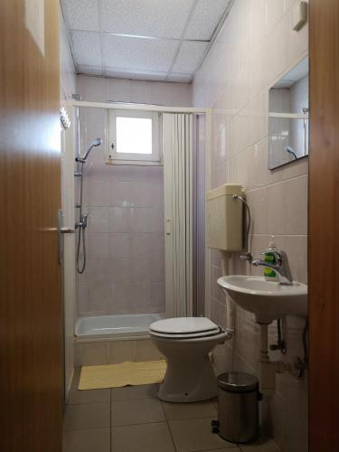 a bathroom with a toilet and a shower and a sink at Hostel Mladinski center Šmartno ob Paki in Šmartno ob Paki