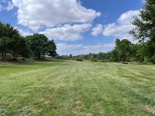 a field of grass with trees in the background at Le grand Moulin in Pernay