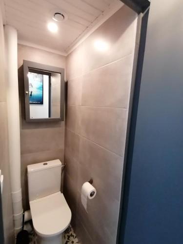 une salle de bain avec des toilettes blanches et un miroir dans l'établissement appartement 50 m2 vue mer, à Villers-sur-Mer