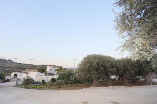 a dirt road with trees and houses in the background at Relais Dea Degli Ulivi in Agrigento