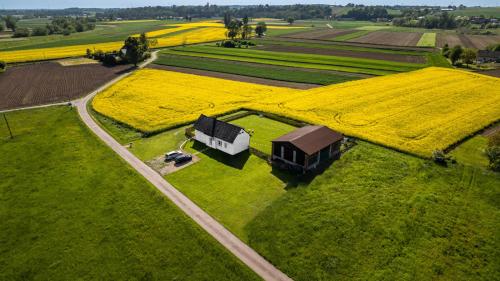 widok z góry na pole żółtych kwiatów w obiekcie Ranczo Łubowice - wynajmij sobie spokój w mieście Łubowice