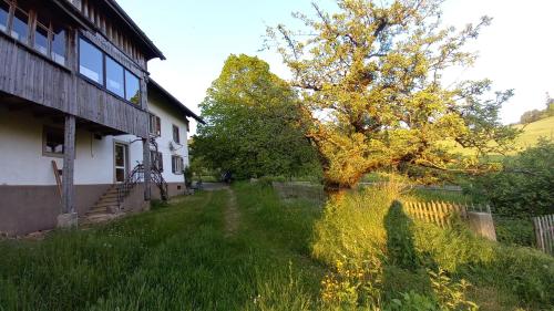 a tree in a yard next to a building at La Belle Etoile - Bauernhof in mitten der Natur in Souboz