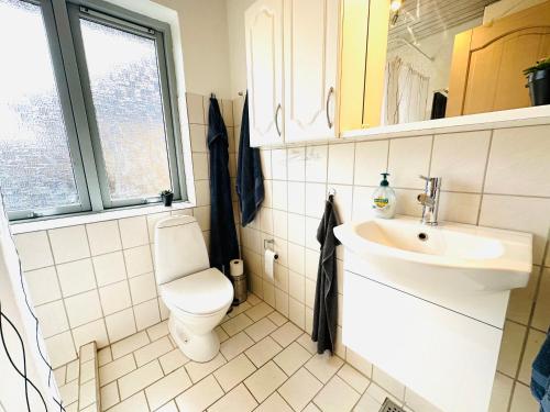 uma casa de banho com um WC e um lavatório em Beautiful villa close to beach and nature em Hanstholm