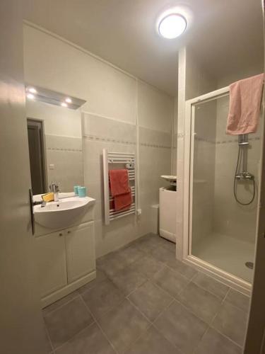 a white bathroom with a sink and a shower at Gap - Studio pour 2 personnes in Gap