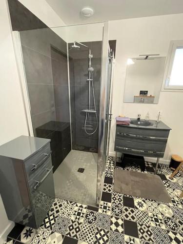 une salle de bain avec douche et lavabo dans l'établissement Maison neuve 3 étoiles Les Logis du Lac, à Sanguinet
