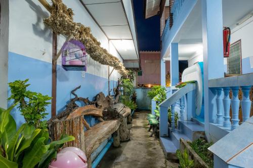 a hallway with blue and white walls and plants at Blue House Pai in Pai