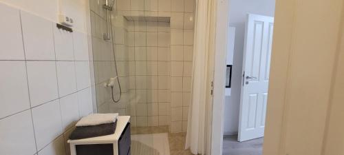 La salle de bains est pourvue d'une douche, de toilettes et d'un lavabo. dans l'établissement Ap 6 33qm bei Oschersleben und Helmstedt, à Ausleben
