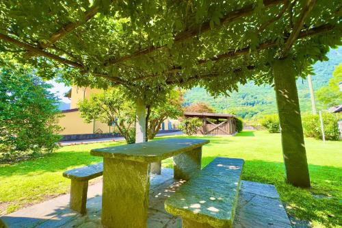 une table de pique-nique et deux bancs sous un arbre dans l'établissement Casa Salogni - Happy Rentals, à Maggia