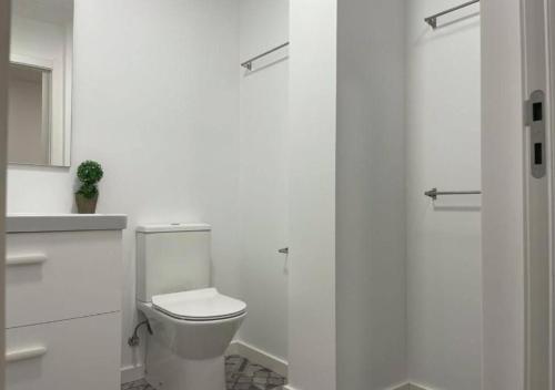 萊里亞的住宿－Casa das 3 Bicas，白色的浴室设有卫生间和淋浴。