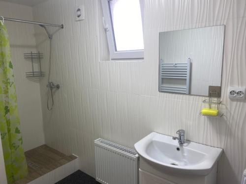 een badkamer met een wastafel, een spiegel en een douche bij Гостинний двір у дядька Івана in Mizhhirya