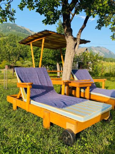Фотография из галереи Household Nikolic - Andrijevica, Montenegro в городе Андриевица
