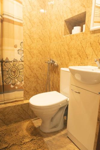a bathroom with a toilet and a shower at Комната с видом на горы in Dilijan