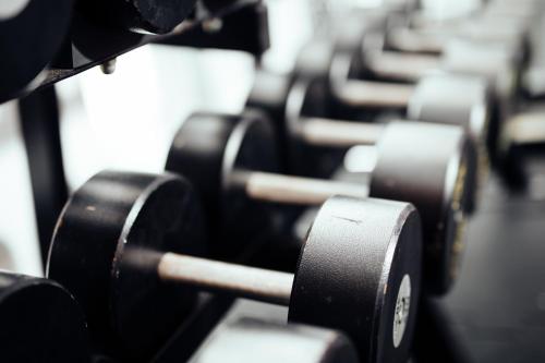 a row of black dumbbells in a gym at Apricot Hotel in Hanoi