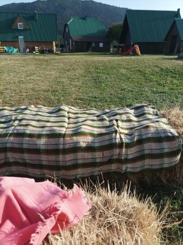 a blanket laying on the grass in a field at Apartman Jegdic-Zabljak in Žabljak