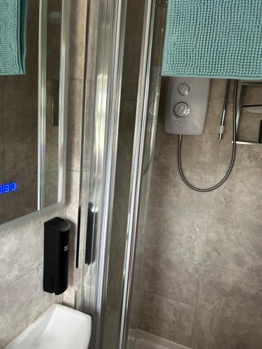 a bathroom with a shower with a toilet and a sink at Acorn Lodge in Torquay