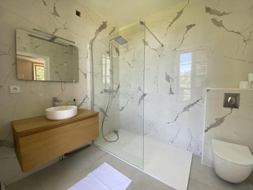 a bathroom with a sink and a toilet and a mirror at Beau château dans le Cantal au coeur du Pays Vert in Naucelles