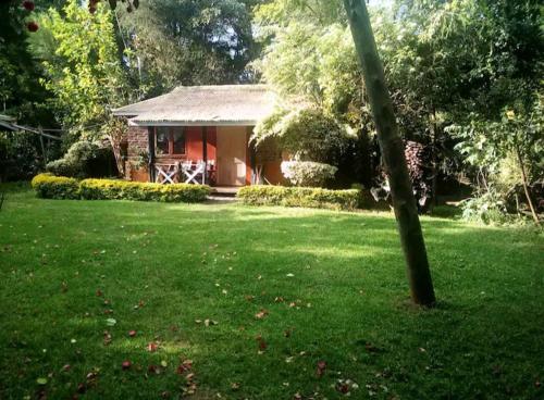 ein kleines Haus inmitten eines grünen Gartens in der Unterkunft Steve's cottage-homely in Nanyuki