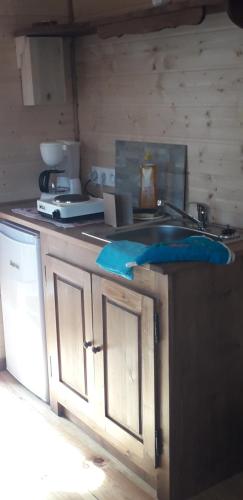 uma cozinha com um lavatório e uma bancada em Roulotte de luxe de la Tenise 