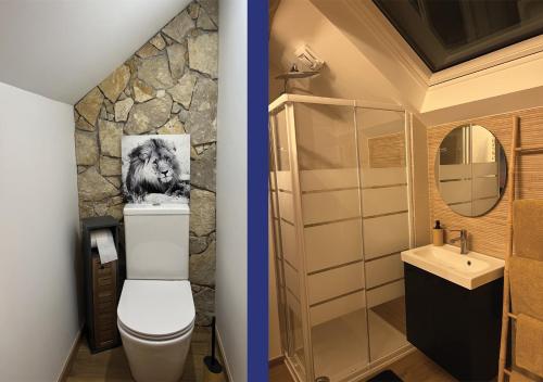 uma casa de banho com um WC e um lavatório em Suzy Home 2 em Moisenay
