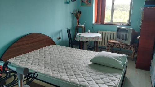 Postel nebo postele na pokoji v ubytování Casa Dorului