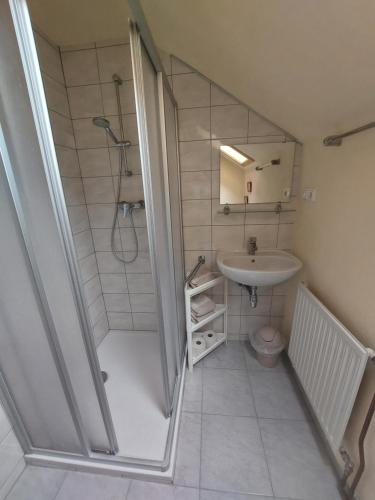 baño pequeño con ducha y lavamanos en Haus Jezek, en Windischgarsten