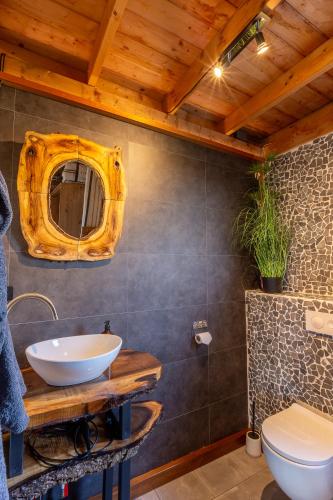a bathroom with a sink and a toilet at De luxe overkapping in Middelburg