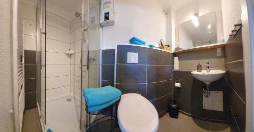 uma casa de banho com um WC, um lavatório e um chuveiro em Fewo Steuerbord em Rambin