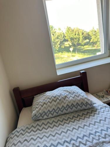 a bed in a room with a window at Gazdinstvo Tadić in Nikšić