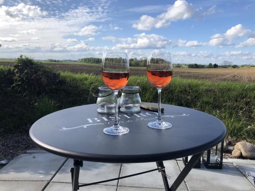 two glasses of wine sitting on a table in front of a field at Kate am Barkenhof in Ekenis