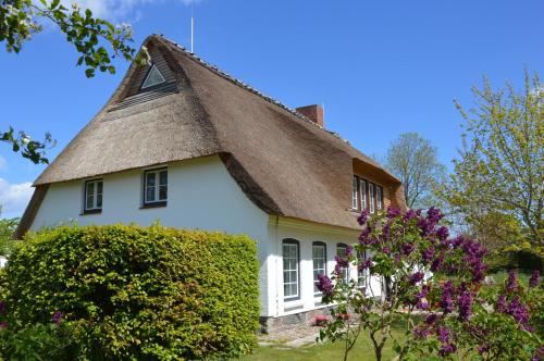 a thatched roof house with purple flowers at Hyggeby in Steinbergkirche