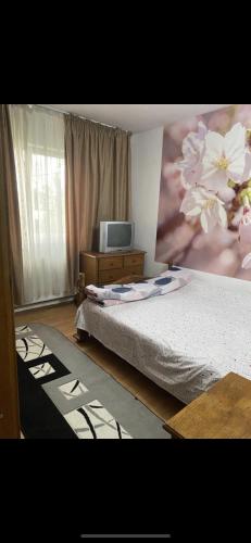 a bedroom with a bed and a tv in it at Apartament parter in Craiova