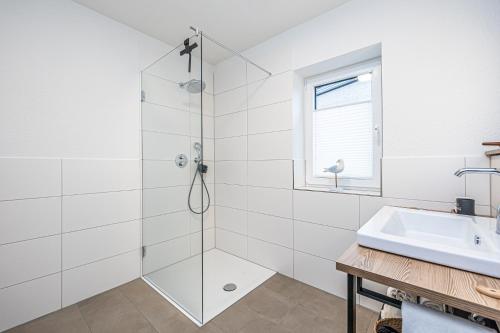 La salle de bains est pourvue d'une douche et d'un lavabo. dans l'établissement Schlei-Koje 7, à Schleswig