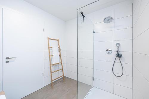 a bathroom with a glass shower with a ladder at Schlei-Koje 8 in Schleswig