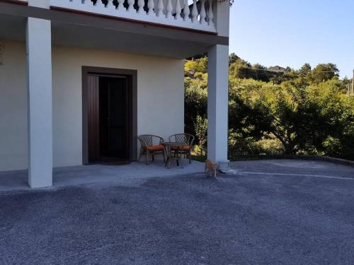 un chien assis sur la terrasse couverte d'une maison dans l'établissement Appartamento "Il Glicine", à Torraca