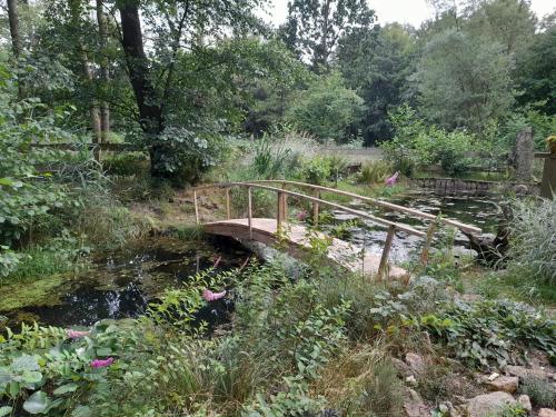 a wooden bridge over a stream in a garden at Glamping pod hradem in Česká Kamenice