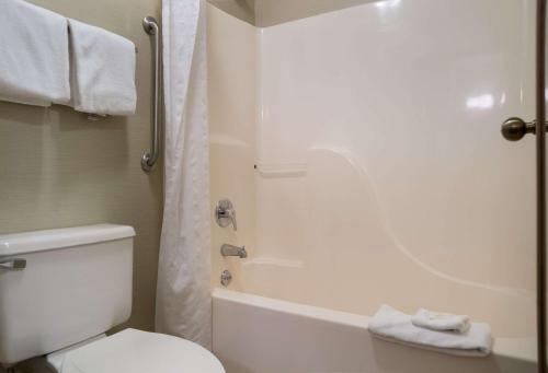a bathroom with a white toilet and a shower at Quality Inn in Grand Blanc