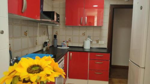 BIG PENTHOUSE ATICo photo 39
