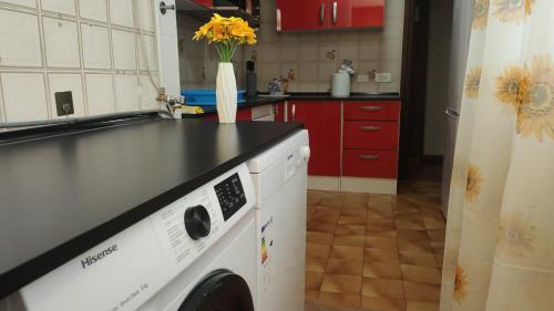 BIG PENTHOUSE ATICo photo 38