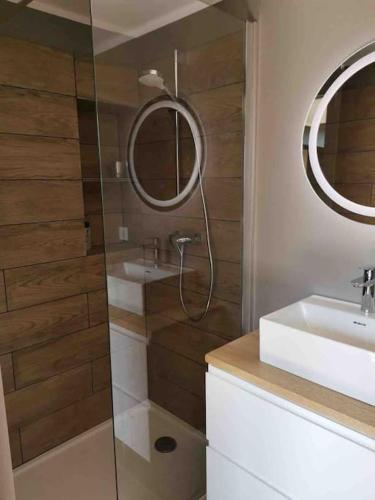 une salle de bain avec une douche, un lavabo et un miroir dans l'établissement À pied centre village, studio cosy piscine, à Saint-Rémy-de-Provence